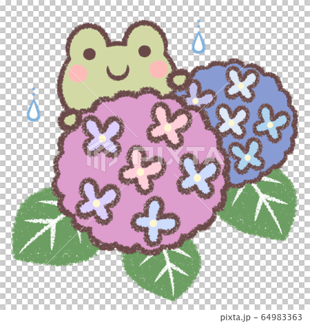 カエルとアジサイ 64983363