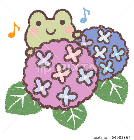 カエルとアジサイ歌 64983364