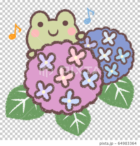 Frog and hydrangea song Frog and hydrangea song 64983364