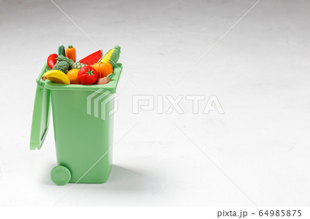 Food Waste Prevention Concept. Food in Garbage Bin 64985875