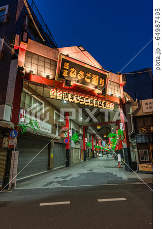 東京の都市風景 浅草 ひさご通り商店街の夜景 64987493
