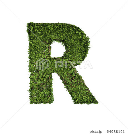 Ivy plant with leaves, green creeper bush and 64988191