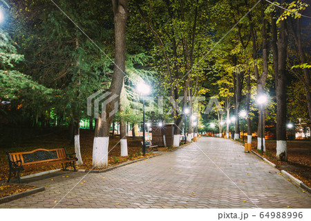 Borjomi, Georgia. City Park Merab Kostava's Garden In Night Illuminations Lights 64988996