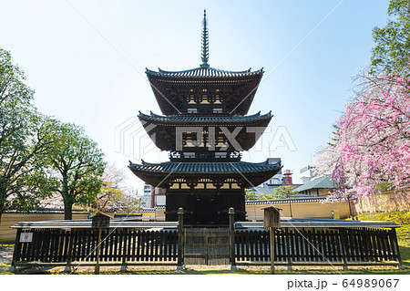 興福寺 三重塔と桜 春 (奈良県奈良市) 興福寺 三重塔と桜 春 (奈良県奈良市) 64989067
