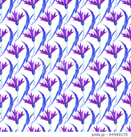 Beautiful watercolor illustration with watercolour blue cornflower on white background. seamless pattern. Watercolour illustration. Watercolor botanical illustration. 64989176