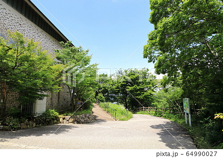 浜名湖　大草山駅前　新緑 64990027