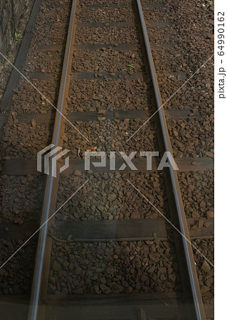 鳥取　四季の散歩　夏　若桜沿線 64990162