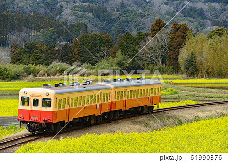 小湊鉄道沿線の旅 春 小湊鉄道沿線の旅 春 64990376