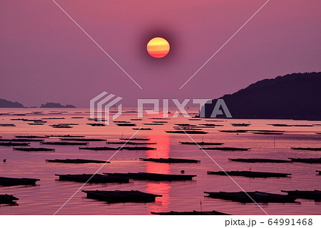 虫明追門の朝 64991468