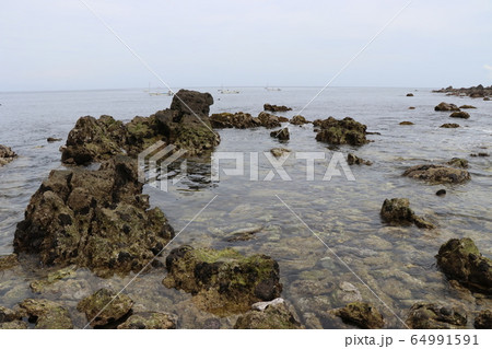 真鶴岬 64991591