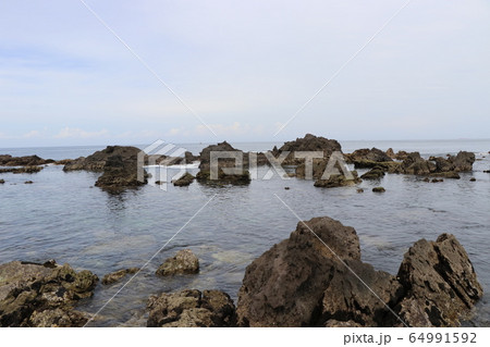 真鶴岬 真鶴岬 64991592