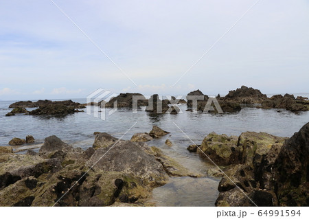 真鶴岬 64991594