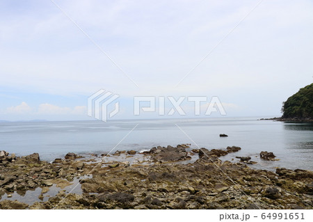 真鶴 琴が浜 風景 64991651