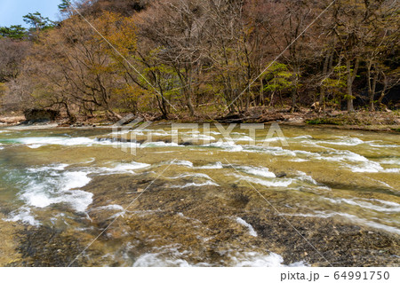 春の白石川の流れ　清流　宮城県七ヶ宿町 64991750