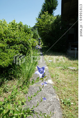 四季の散歩　夏　石見銀山 64991813