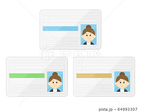 女性の免許証のイラストのイラスト素材