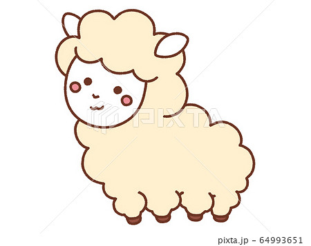 Alpaca Stock Illustration