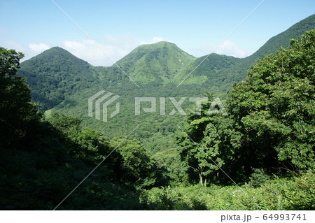 四季の散歩　夏　三瓶山 64993741