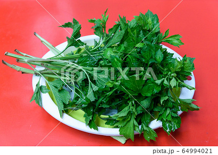 Jing Chu Chai , celery Chinese herb to protect from cancer Jing Chu Chai , celery Chinese herb to protect from cancer 64994021