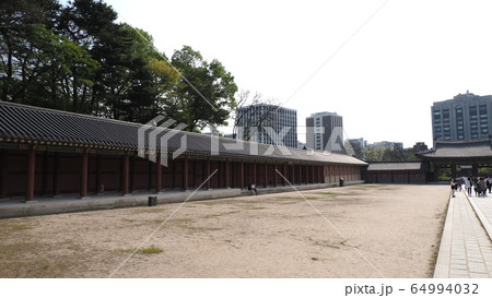 故宮 昌徳宮 春 64994032