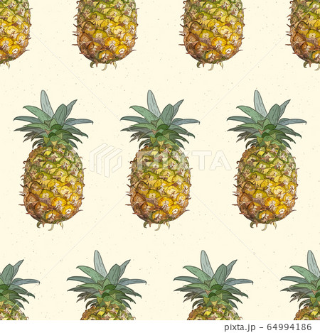 Vector pineapples hand drawn sketch. Vector 64994186