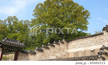 昌徳宮 文化遺産 韓国 64994523