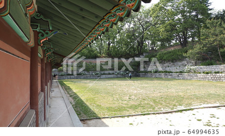 故宮 昌徳宮 春 64994635