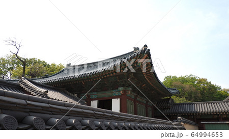 故宮 昌徳宮 春 64994653