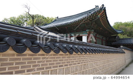 故宮 昌徳宮 春 64994654