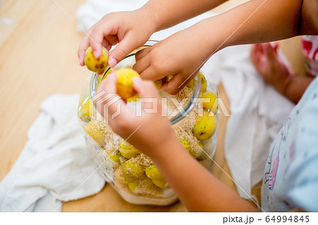 夏の梅仕事 こどもお手伝いイメージ 夏の梅仕事 こどもお手伝いイメージ 64994845