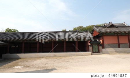 故宮 昌徳宮 春 64994887