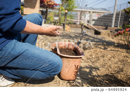 園芸 64995924