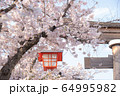 鳥居と桜 64995982