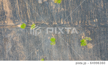 Aerial view over burning rice field after Aerial view over burning rice field after 64996360
