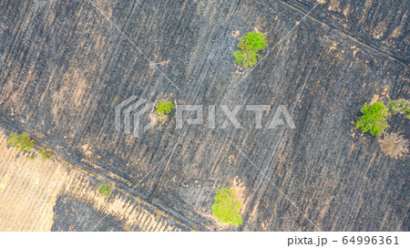 Aerial view over burning rice field after 64996361