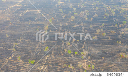 Aerial view over burning rice field after Aerial view over burning rice field after 64996364