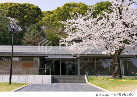 小牧山城史跡情報館 「れきしるこまき」と桜 小牧山城史跡情報館 「れきしるこまき」と桜 64996630