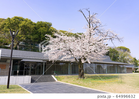 小牧山城史跡情報館 「れきしるこまき」と桜 小牧山城史跡情報館 「れきしるこまき」と桜 64996632