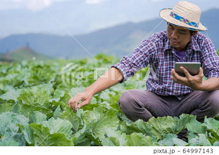 Asian farmer in hat using a digital tablet and Asian farmer in hat using a digital tablet and 64997143