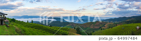 Panoramic landscape view of the mountain and rice Panoramic landscape view of the mountain and rice 64997484