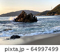 海岸 64997499
