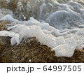 海岸 64997505