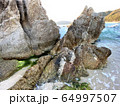 海岸 64997507