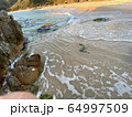 海岸 64997509