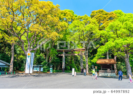 東京 明治神宮 一の鳥居 東京 明治神宮 一の鳥居 64997892