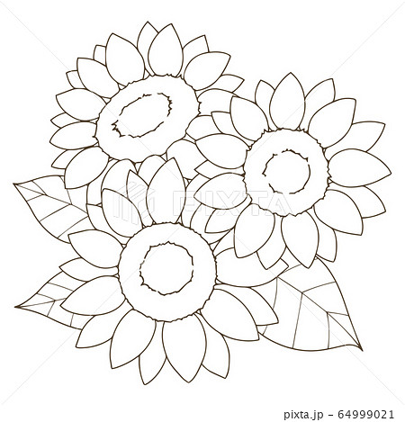 ひまわり 線画のイラスト素材
