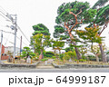 サザエさん公園 64999187