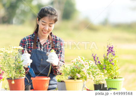 Young woman care plant flower in garden. Asian people hobby 64999568