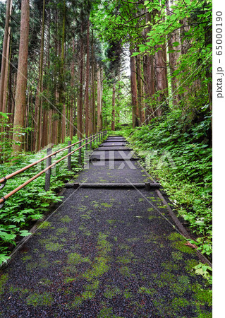 信州　戸隠神社・宝光社　女坂 65000190