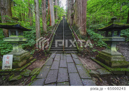信州　戸隠神社・宝光社社殿への石段 65000243
